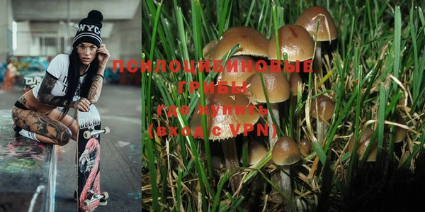 ALPHA PVP Горняк