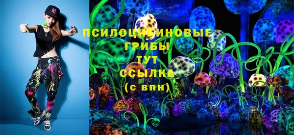 мдпв Горнозаводск