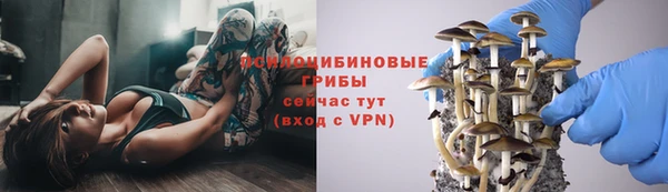 мдпв Горнозаводск