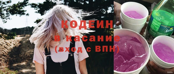 мдпв Горнозаводск