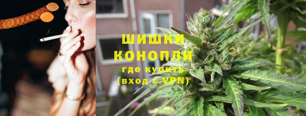 мдпв Горнозаводск