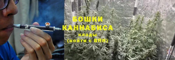 мдпв Горнозаводск