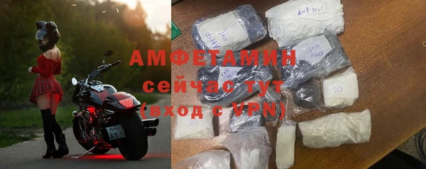 мдпв Горнозаводск