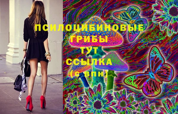 мдпв Горнозаводск